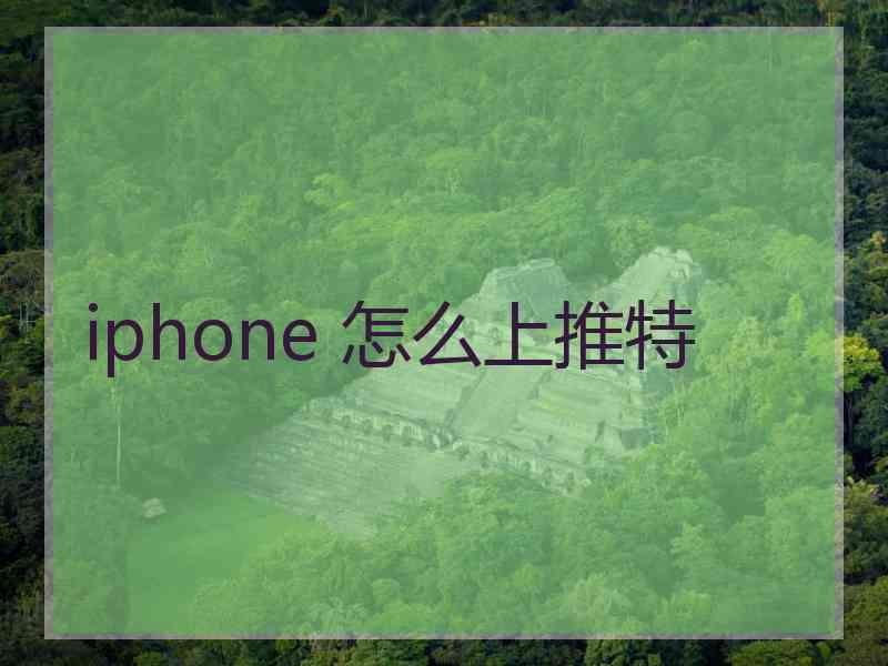 iphone 怎么上推特